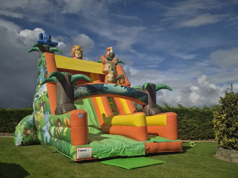 Tropical Forest Slide