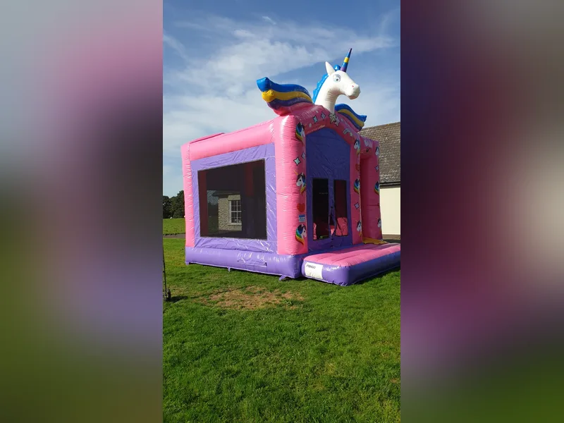 Unicorn Giant Combi