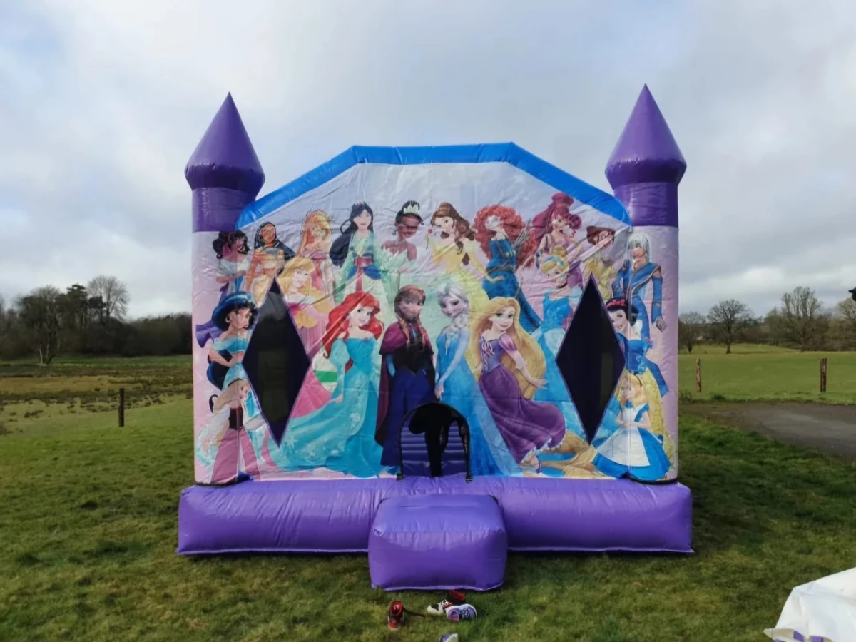 Disney Princess Castle Giant Combi