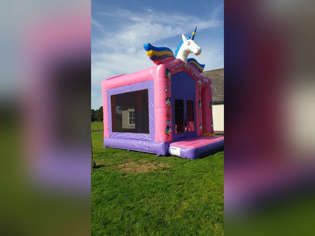 Unicorn Giant Combi